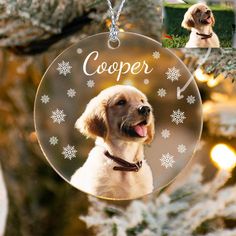 a christmas ornament with a dog's face and name hanging on a tree