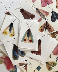 several different colored moths on white cards with watercolor paint and paper backings in the background