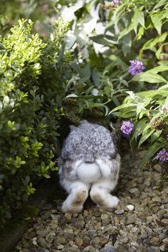 a stuffed animal sitting in the middle of some plants