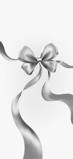 a silver ribbon with a bow on it