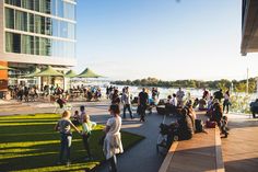 many people are standing on the grass by the water