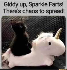 a black cat sitting on top of a white stuffed unicorn horse that says giddy up sparkle fars, there's chaos to spread