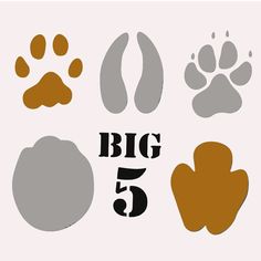 the big five paw prints are shown in orange, grey and white colors with an animal's foot imprint