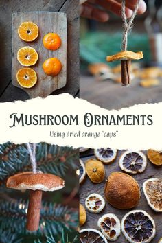 mushrooms and oranges are hanging from the tree with strings attached to them, along with an ornament that says mushroom ornaments using dried oranges