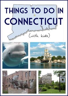 the cover of things to do in connecitut with pictures of buildings and dolphins