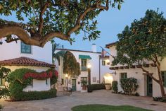 an orange tree in front of a white building with green shutters and red trim