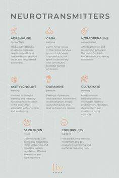 the neurotransmitters info sheet is shown in orange and grey colors