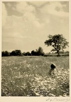 an old photo of a child in a field with wildflowers on the ground