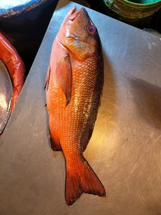 a red fish sitting on top of a metal table