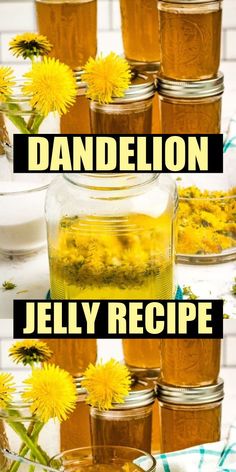 dandelion jelly recipe in mason jars with flowers on the side and text overlay that reads dandelion jelly recipe