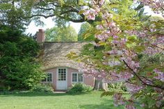 a pink house surrounded by trees and flowers