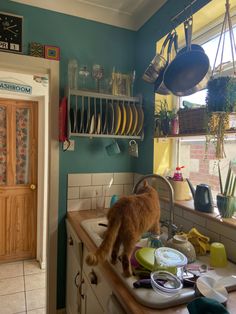 an orange cat standing on top of a kitchen counter next to a sink filled with dishes