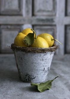 a white bucket filled with lemons sitting on top of a cement floor next to a leaf