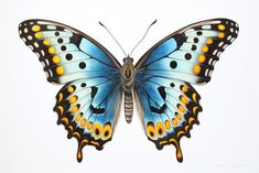 a blue and yellow butterfly with orange spots on it's wings, flying in the air