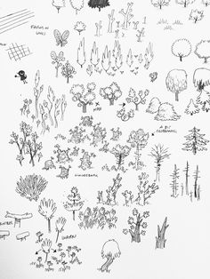 a bunch of trees and bushes drawn on paper