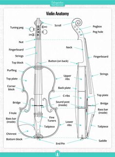 the parts of a violin and its functions