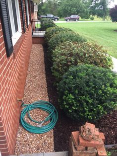 a garden hose is attached to the side of a house