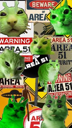 a collage of green cats with warning signs in the background