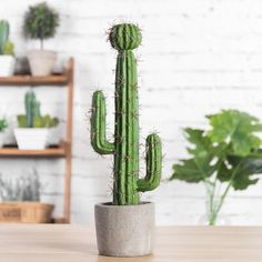 a green cactus sitting on top of a wooden table