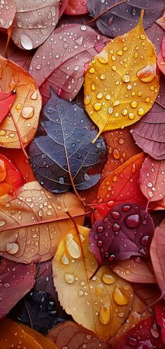 many different colored leaves with water droplets on them, all in the same color scheme