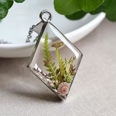 a glass terrarium with plants in it on a table next to a white plate