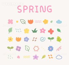 an image of spring flowers and leaves on a white background with the words,'spring '