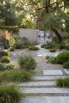 an outdoor garden with stepping stones and plants