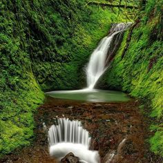 a small waterfall in the middle of a forest with moss growing on it's sides