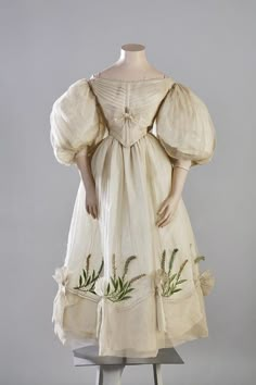 Dress History, Old Dresses