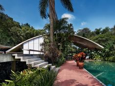 a walkway leading to a swimming pool surrounded by trees and plants on the other side