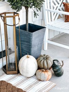 some pumpkins and a potted tree on the porch