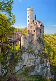 an old castle perched on top of a cliff in the middle of trees and mountains