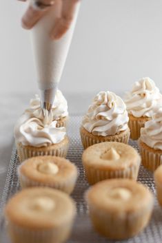 someone is decorating cupcakes with icing