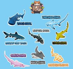 various types of shark stickers on a blue background