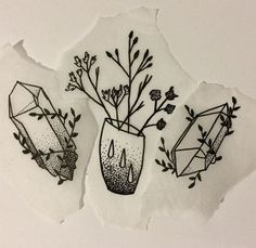 three vases with plants in them sitting on top of a piece of torn paper