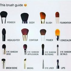 Make Up Supplies For Beginners, Types Of Makeup Brushes, Makeup Brush Uses, Brush Guide, Makeup Order, Makeup Brushes Guide, Best Makeup Brushes, Makeup Help, Smink Inspiration