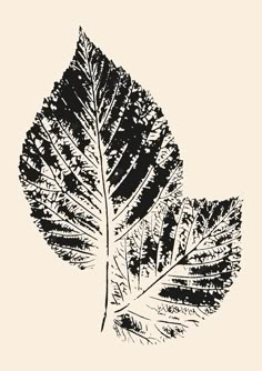 a black and white drawing of a leaf