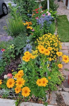 a garden filled with lots of different types of flowers