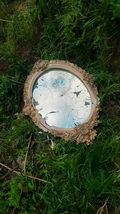 a broken mirror sitting in the grass on top of it's side, surrounded by weeds