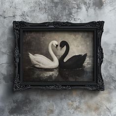 a black and white photo of two swans floating in the water with their necks touching each other