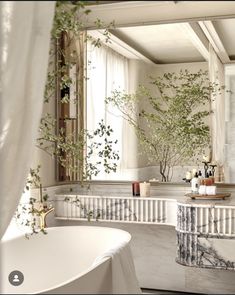 a white bath tub sitting next to a window filled with flowers and greenery in front of a mirror