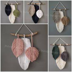 four different types of leaves hanging on a wall