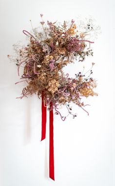 an arrangement of dried flowers on a white wall with a red ribbon tied around it