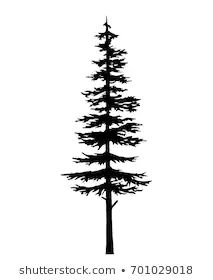 a black and white silhouette of a tall pine tree