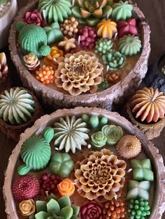 three wooden bowls filled with different types of succulents