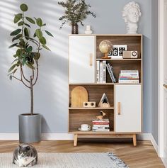 a cat laying on the floor in front of a book shelf with books and plants