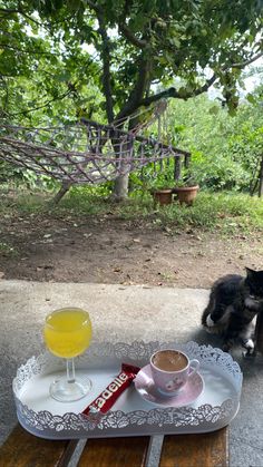 a black and white cat sitting on top of a wooden table next to a cup of coffee