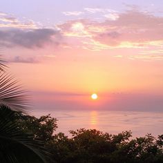 the sun is setting over the ocean and trees