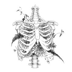 a drawing of the ribs with flowers and birds flying around it on a white background