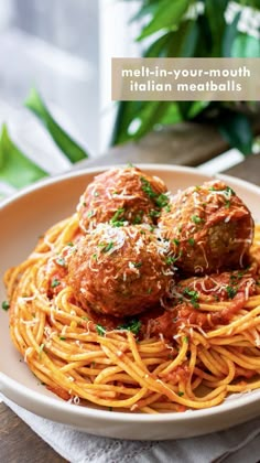 Melt-In-Your-Mouth Italian Meatballs Vegetable Beef Soup Recipes, Soup Recipes Homemade, Homemade Vegetable Beef Soup, Meatballs In Tomato Sauce, Italian Meatballs Recipe, Beef Soup Recipes, Meatball Recipes Easy, Vegetable Beef Soup, Soup Easy